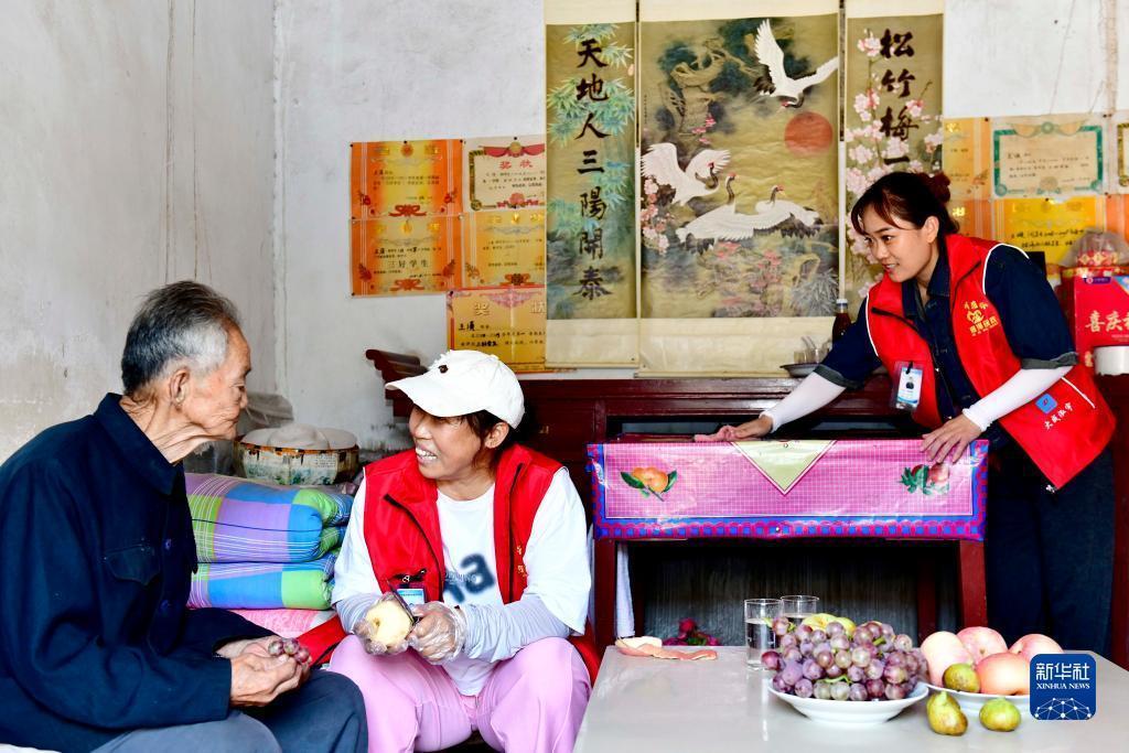 白菜现金网官方网站